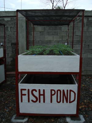Fish pnd garden